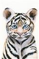 Picture of Tiger Babe _GroupedProduct_Rectangle_Portrait_Mini_ _GroupedProduct_Rectangle_Portrait_Unframed_Print_Only_