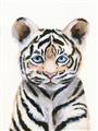 Picture of Tiger Babe _GroupedProduct_Rectangle_Portrait_Mini_ _GroupedProduct_Rectangle_Portrait_Unframed_Print_Only_