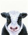 Picture of Big Farm Cow _GroupedProduct_Rectangle_Portrait_Mini_ _GroupedProduct_Rectangle_Portrait_Unframed_Print_Only_