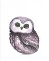 Picture of Little Farm Owl _GroupedProduct_Rectangle_Portrait_Mini_ _GroupedProduct_Rectangle_Portrait_Unframed_Print_Only_