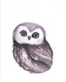 Picture of Little Farm Owl _GroupedProduct_Rectangle_Portrait_Mini_ _GroupedProduct_Rectangle_Portrait_Unframed_Print_Only_