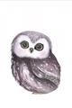 Picture of Little Farm Owl _GroupedProduct_Rectangle_Portrait_Mini_ _GroupedProduct_Rectangle_Portrait_Unframed_Print_Only_