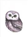 Picture of Little Farm Owl _GroupedProduct_Rectangle_Portrait_Mini_ _GroupedProduct_Rectangle_Portrait_Unframed_Print_Only_