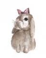 Picture of Bunny Bow _GroupedProduct_Rectangle_Portrait_Mini_ _GroupedProduct_Rectangle_Portrait_Unframed_Print_Only_