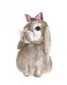 Picture of Bunny Bow _GroupedProduct_Rectangle_Portrait_Mini_ _GroupedProduct_Rectangle_Portrait_Unframed_Print_Only_