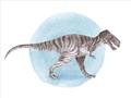 Picture of T-Rex _GroupedProduct_Rectangle_Landscape_Mini_ _GroupedProduct_Rectangle_Landscape_Unframed_Print_Only_