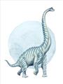 Picture of Brontosaurus _GroupedProduct_Rectangle_Portrait_Mini_ _GroupedProduct_Rectangle_Portrait_Unframed_Print_Only_