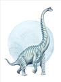 Picture of Brontosaurus _GroupedProduct_Rectangle_Portrait_Mini_ _GroupedProduct_Rectangle_Portrait_Unframed_Print_Only_