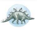 Picture of Stegosaurus _GroupedProduct_Rectangle_Landscape_Mini_ _GroupedProduct_Rectangle_Landscape_Unframed_Print_Only_