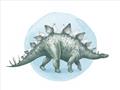 Picture of Stegosaurus _GroupedProduct_Rectangle_Landscape_Mini_ _GroupedProduct_Rectangle_Landscape_Unframed_Print_Only_