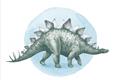 Picture of Stegosaurus _GroupedProduct_Rectangle_Landscape_Mini_ _GroupedProduct_Rectangle_Landscape_Unframed_Print_Only_