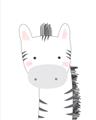 Picture of Gray Zebra _GroupedProduct_Rectangle_Portrait_Mini_ _GroupedProduct_Rectangle_Portrait_Unframed_Print_Only_