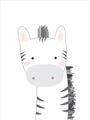 Picture of Gray Zebra _GroupedProduct_Rectangle_Portrait_Mini_ _GroupedProduct_Rectangle_Portrait_Unframed_Print_Only_