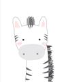 Picture of Gray Zebra _GroupedProduct_Rectangle_Portrait_Mini_ _GroupedProduct_Rectangle_Portrait_Unframed_Print_Only_
