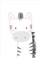 Picture of Gray Zebra _GroupedProduct_Rectangle_Portrait_Mini_ _GroupedProduct_Rectangle_Portrait_Unframed_Print_Only_