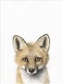 Picture of Foxy Baby _GroupedProduct_Rectangle_Portrait_Mini_ _GroupedProduct_Rectangle_Portrait_Unframed_Print_Only_