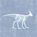 Picture of Blue X-ray Dino I _GroupedProduct_Square_Mini_ _GroupedProduct_Square_Unframed_Print_Only_