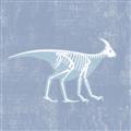 Picture of Blue X-ray Dino I _GroupedProduct_Square_Mini_ _GroupedProduct_Square_Unframed_Print_Only_