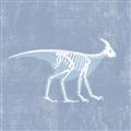 Picture of Blue X-ray Dino I _GroupedProduct_Square_Mini_ _GroupedProduct_Square_Unframed_Print_Only_