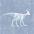 Picture of Blue X-ray Dino I _GroupedProduct_Square_Mini_ _GroupedProduct_Square_Unframed_Print_Only_