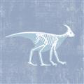 Picture of Blue X-ray Dino I _GroupedProduct_Square_Mini_ _GroupedProduct_Square_Unframed_Print_Only_