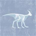 Picture of Blue X-ray Dino I _GroupedProduct_Square_Mini_ _GroupedProduct_Square_Unframed_Print_Only_