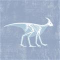 Picture of Blue X-ray Dino I _GroupedProduct_Square_Mini_ _GroupedProduct_Square_Unframed_Print_Only_