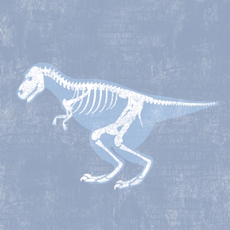 nextART. Blue X-ray Dino II