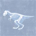 Picture of Blue X-ray Dino II _GroupedProduct_Square_Mini_ _GroupedProduct_Square_Unframed_Print_Only_