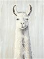 Picture of Brown and White Llama _GroupedProduct_Rectangle_Portrait_Mini_ _GroupedProduct_Rectangle_Portrait_Unframed_Print_Only_