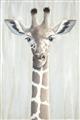 Picture of Close-up Giraffe _GroupedProduct_Rectangle_Portrait_Mini_ _GroupedProduct_Rectangle_Portrait_Unframed_Print_Only_