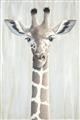 Picture of Close-up Giraffe _GroupedProduct_Rectangle_Portrait_Mini_ _GroupedProduct_Rectangle_Portrait_Unframed_Print_Only_