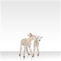 Picture of Together Lambs _GroupedProduct_Square_Mini_ _GroupedProduct_Square_Unframed_Print_Only_