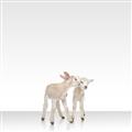 Picture of Together Lambs _GroupedProduct_Square_Mini_ _GroupedProduct_Square_Unframed_Print_Only_