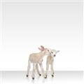Picture of Together Lambs _GroupedProduct_Square_Mini_ _GroupedProduct_Square_Unframed_Print_Only_