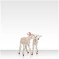 Picture of Together Lambs _GroupedProduct_Square_Mini_ _GroupedProduct_Square_Unframed_Print_Only_