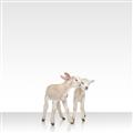 Picture of Together Lambs _GroupedProduct_Square_Mini_ _GroupedProduct_Square_Unframed_Print_Only_