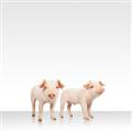 Picture of Together Pigs _GroupedProduct_Square_Mini_ _GroupedProduct_Square_Unframed_Print_Only_