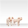 Picture of Together Pigs _GroupedProduct_Square_Mini_ _GroupedProduct_Square_Unframed_Print_Only_