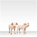 Picture of Together Pigs _GroupedProduct_Square_Mini_ _GroupedProduct_Square_Unframed_Print_Only_