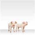 Picture of Together Pigs _GroupedProduct_Square_Mini_ _GroupedProduct_Square_Unframed_Print_Only_