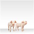 Picture of Together Pigs _GroupedProduct_Square_Mini_ _GroupedProduct_Square_Unframed_Print_Only_