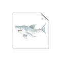 Picture of Great White _GroupedProduct_Square_Mini_ _GroupedProduct_Square_Unframed_Print_Only_