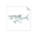 Picture of Great White _GroupedProduct_Square_Mini_ _GroupedProduct_Square_Unframed_Print_Only_