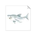 Picture of Great White _GroupedProduct_Square_Mini_ _GroupedProduct_Square_Unframed_Print_Only_