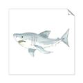 Picture of Great White _GroupedProduct_Square_Mini_ _GroupedProduct_Square_Unframed_Print_Only_