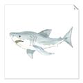 Picture of Great White _GroupedProduct_Square_Mini_ _GroupedProduct_Square_Unframed_Print_Only_
