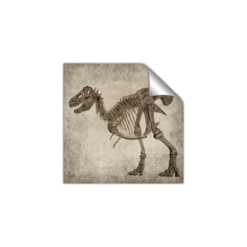Picture of Dino Skeleton I _GroupedProduct_Square_Mini_ _GroupedProduct_Square_Unframed_Print_Only_