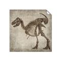 Picture of Dino Skeleton I _GroupedProduct_Square_Mini_ _GroupedProduct_Square_Unframed_Print_Only_