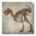 Picture of Dino Skeleton I _GroupedProduct_Square_Mini_ _GroupedProduct_Square_Unframed_Print_Only_